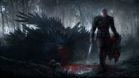 The Witcher 3 Wild Hunt wallpapers high quality