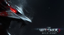 The Witcher 3 Wild Hunt Free download