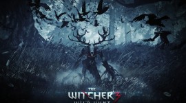 The Witcher 3 Wild Hunt Photos