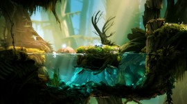 Ori And The Blind Forest free