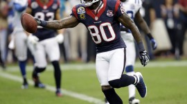 Andre Johnson Free download