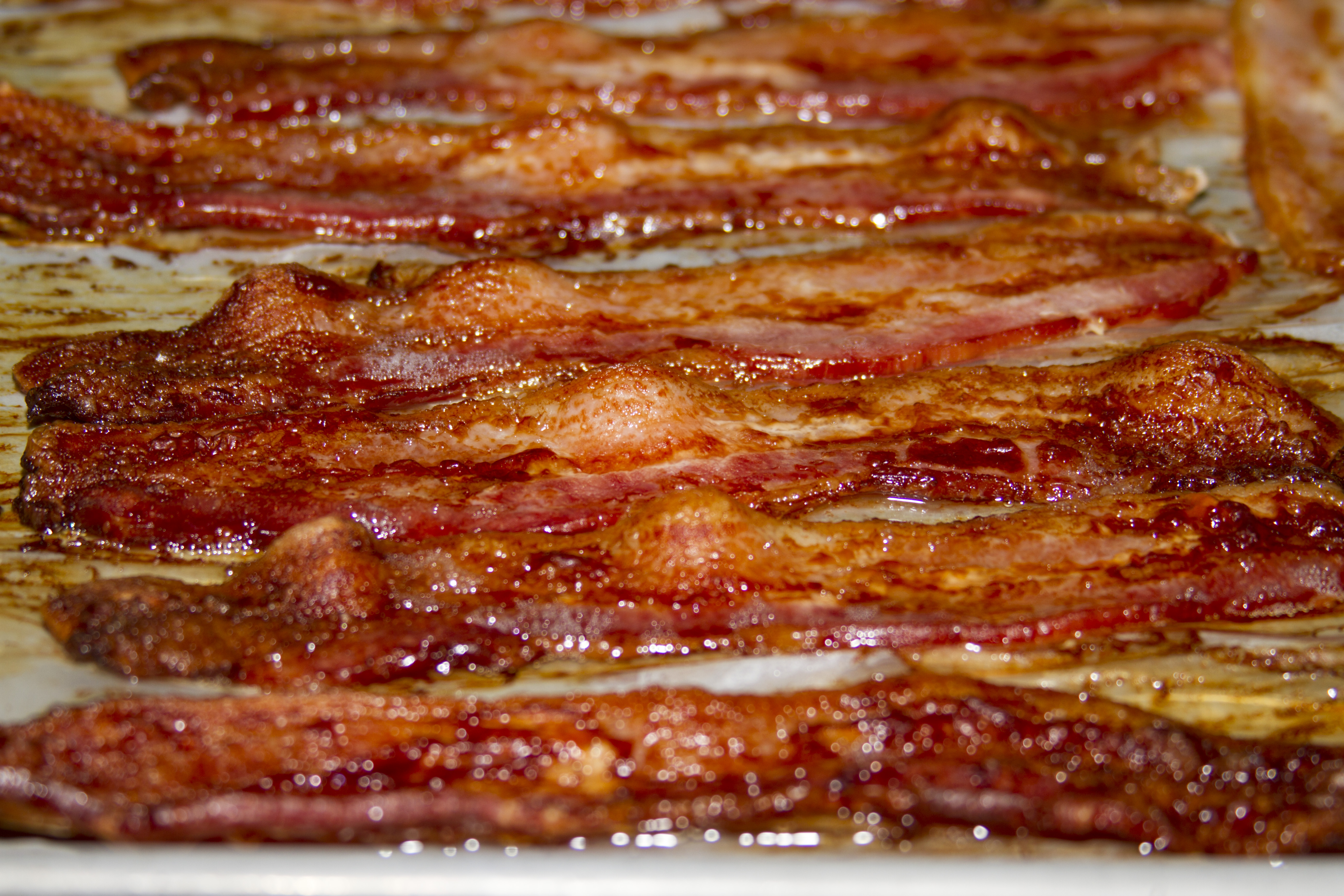 Bacon Wallpapers High Quality Download Free HD Wallpapers Download Free Images Wallpaper [wallpaper981.blogspot.com]