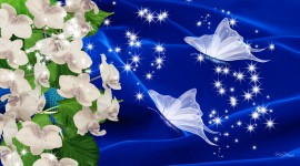 Blue Orchid Wallpaper