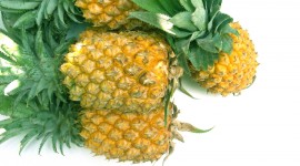 Pineapples Photos
