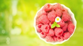 Raspberries 1080p