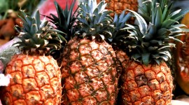 Pineapples High quality wallpapers