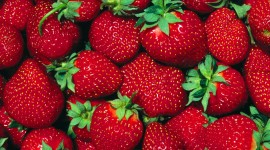 Strawberry Download for desktop