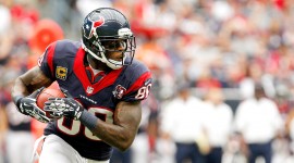 Andre Johnson Pictures