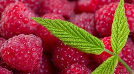 Raspberries HD