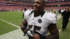 Terrell Suggs Wallpapers