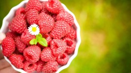 Raspberries Pictures