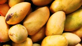 Mango High quality wallpapers