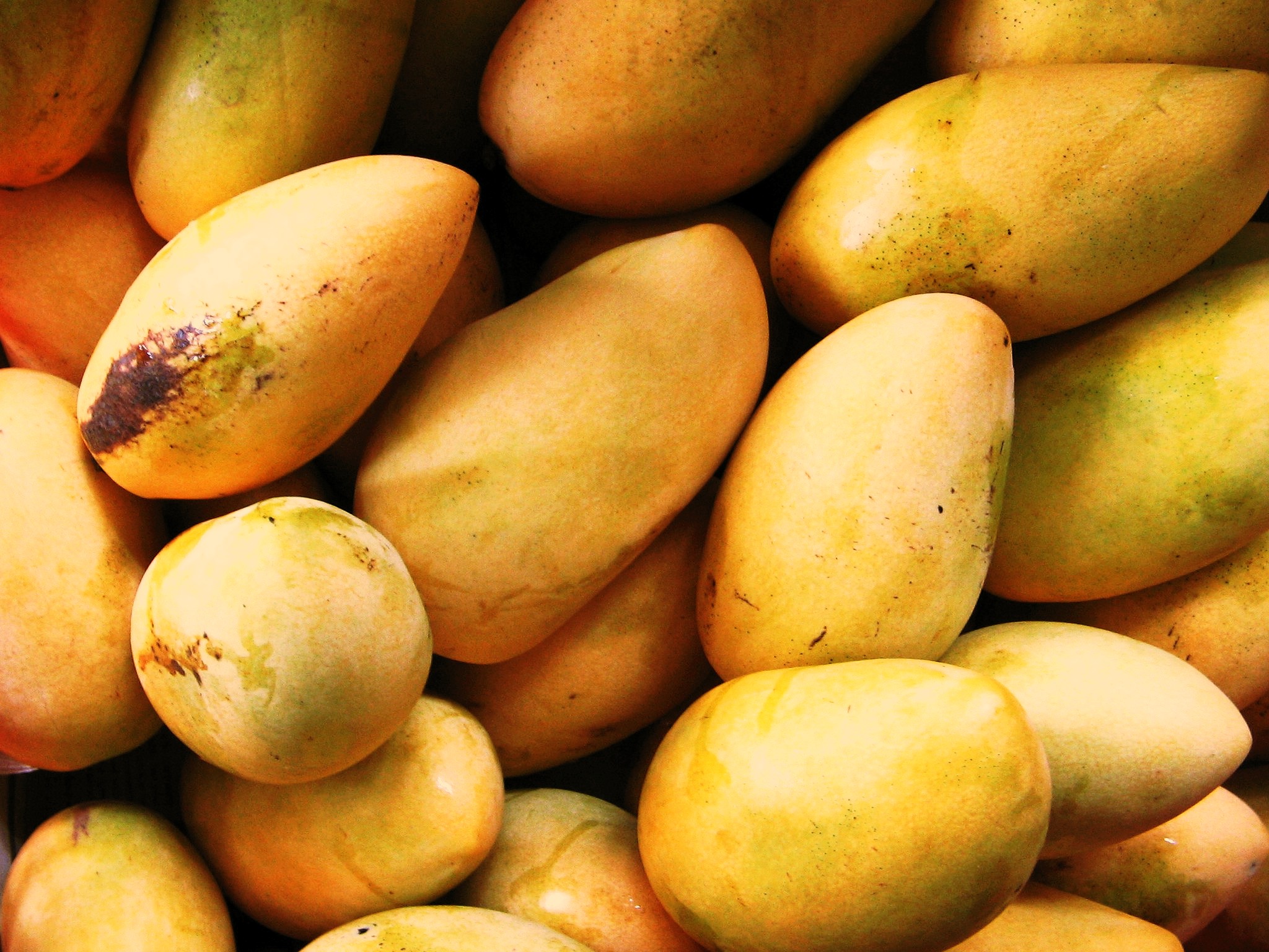 Mango Wallpapers High Quality | Download Free