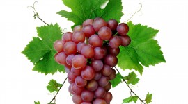 Grapes High quality wallpapers