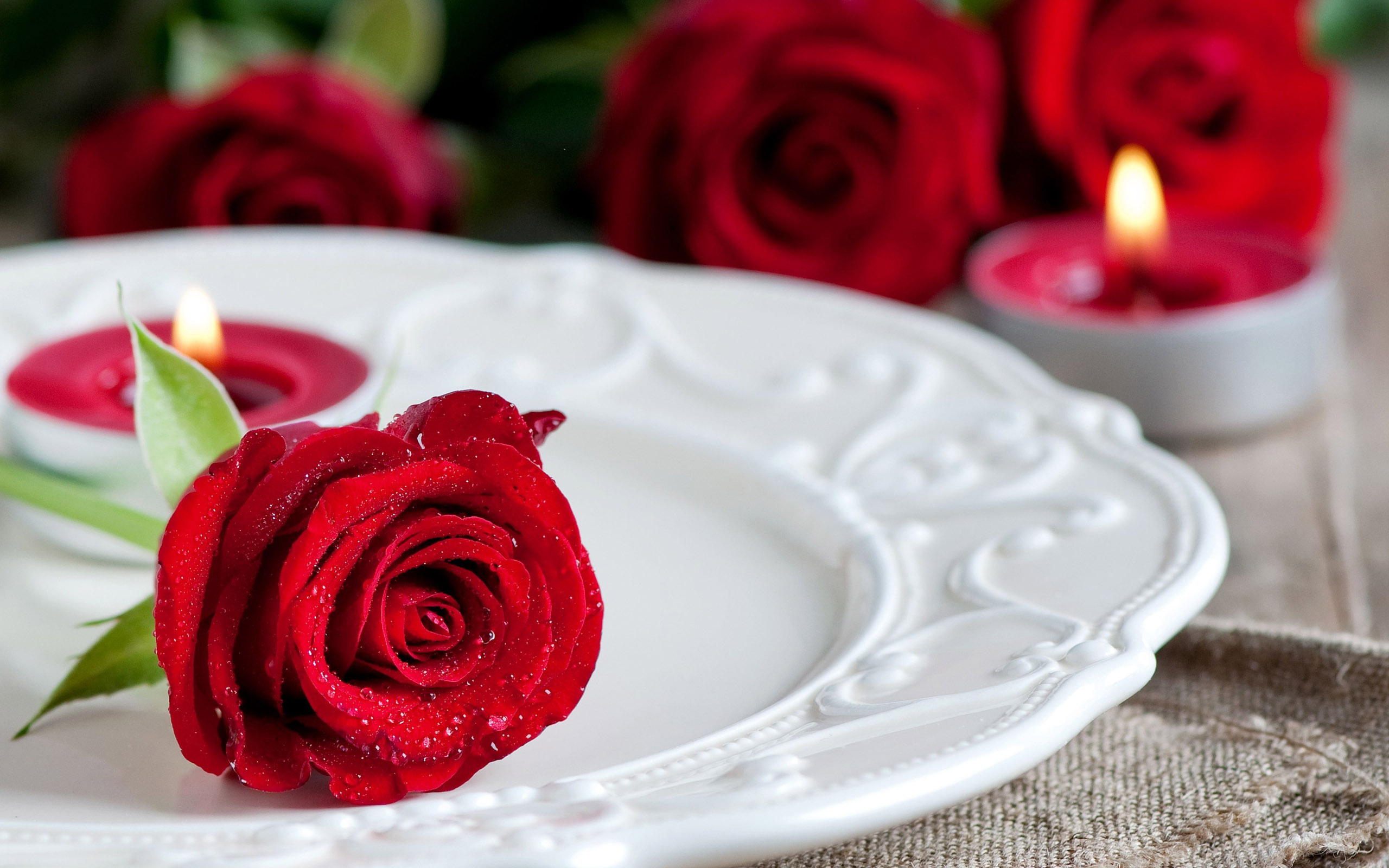 Red Rose Wallpapers High Quality | Download Free