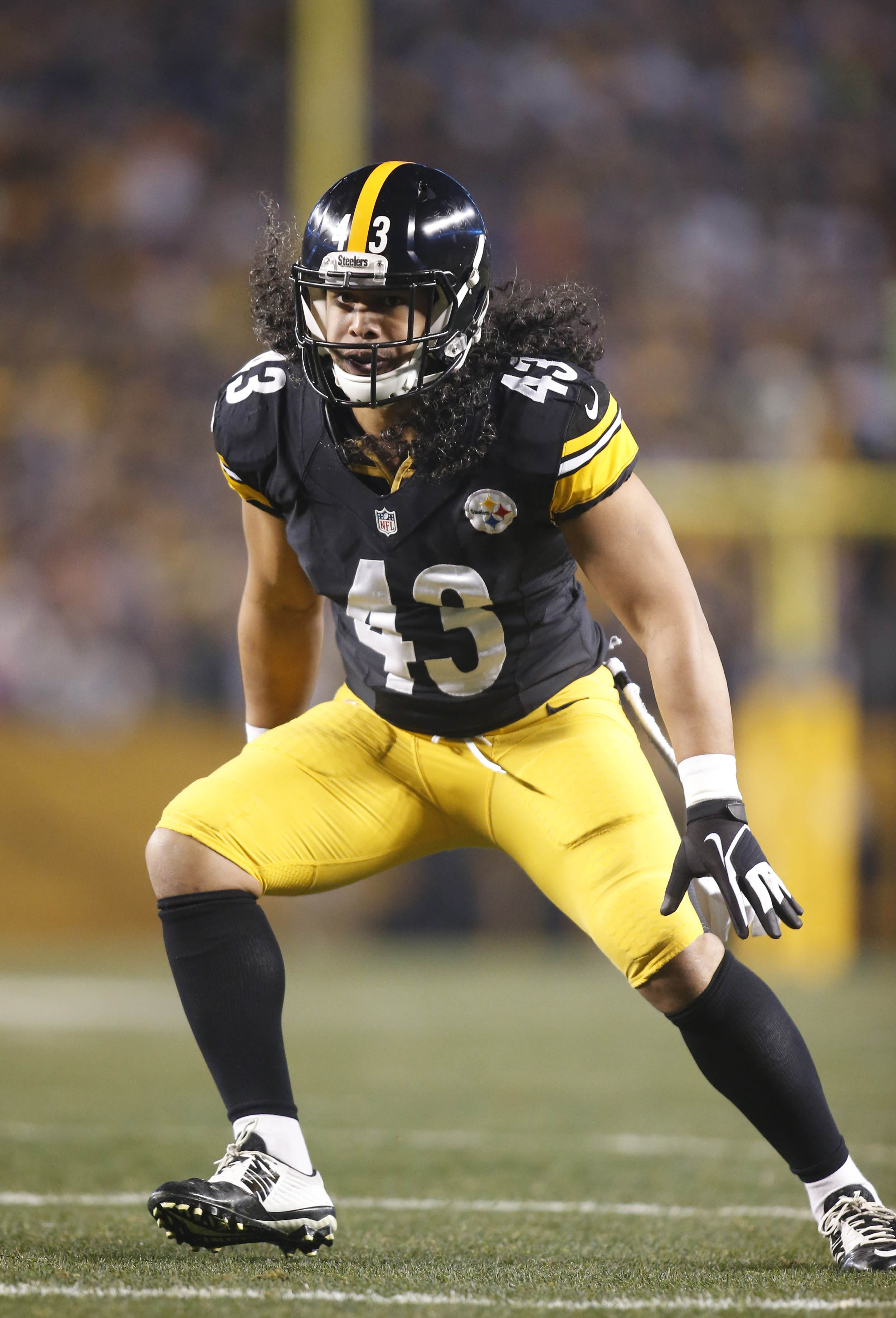 Troy Polamalu Wallpapers High Quality | Download Free2880 x 4236