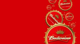 Budweiser Pictures