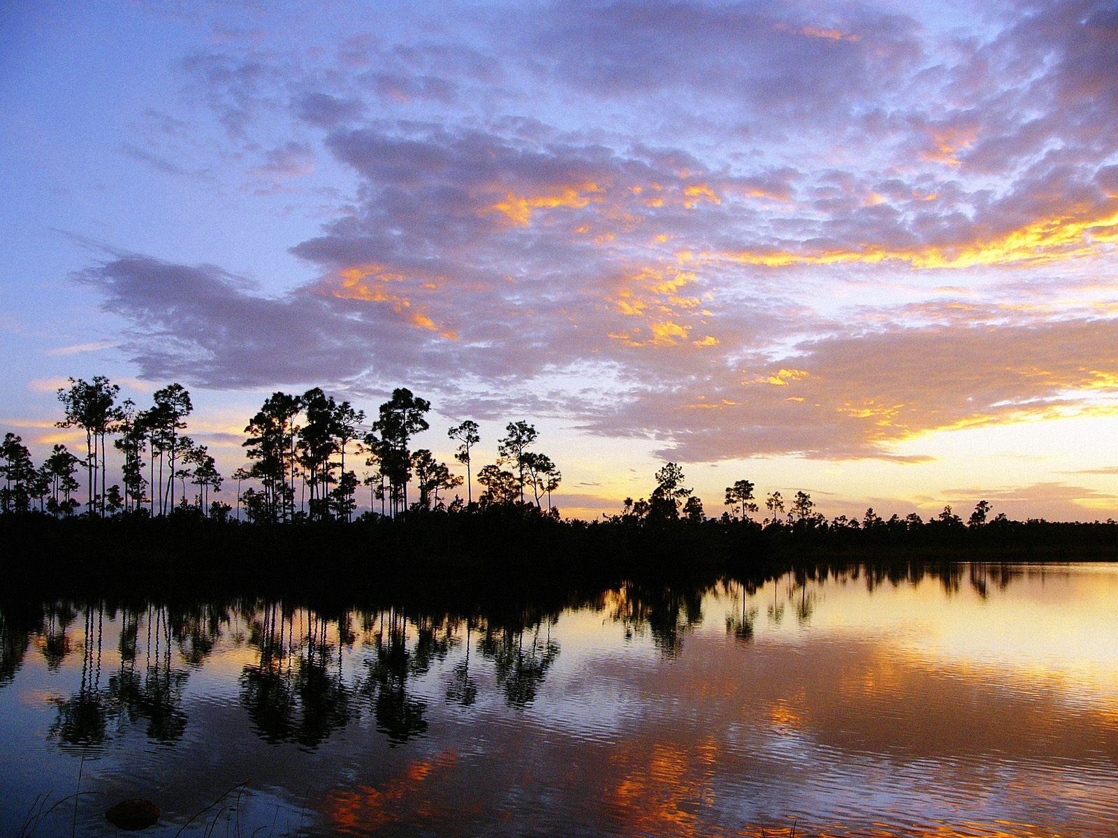Everglades Wallpapers High Quality | Download Free