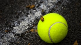 Tennis HD Wallpaper