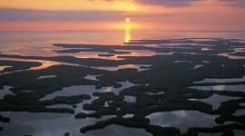 Everglades Iphone wallpapers