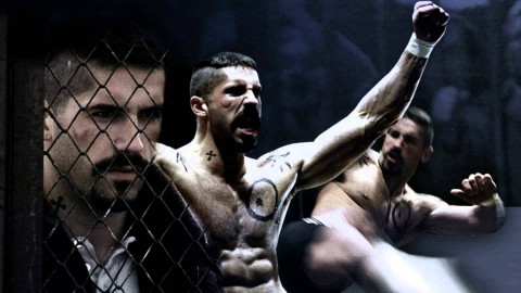 Mixed Martial Arts wallpapers high quality