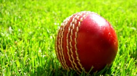Cricket free