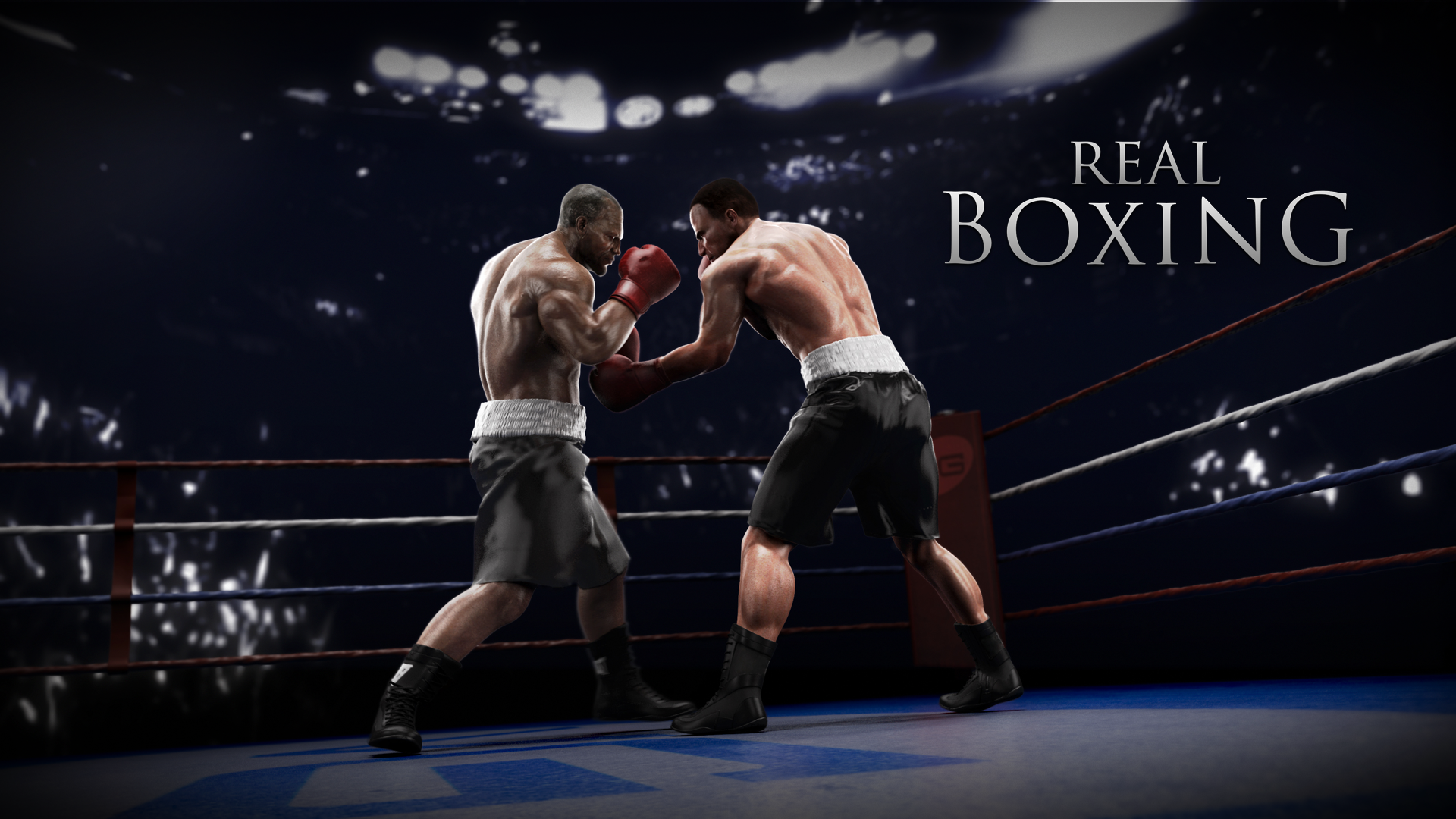 Boxing Wallpapers High Quality | Download Free