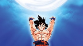Son Goku High resolution