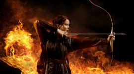 The Hunger Games pic