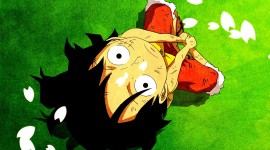 Monkey D Luffy Images