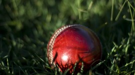 Cricket High quality wallpapers