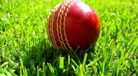Cricket Photos