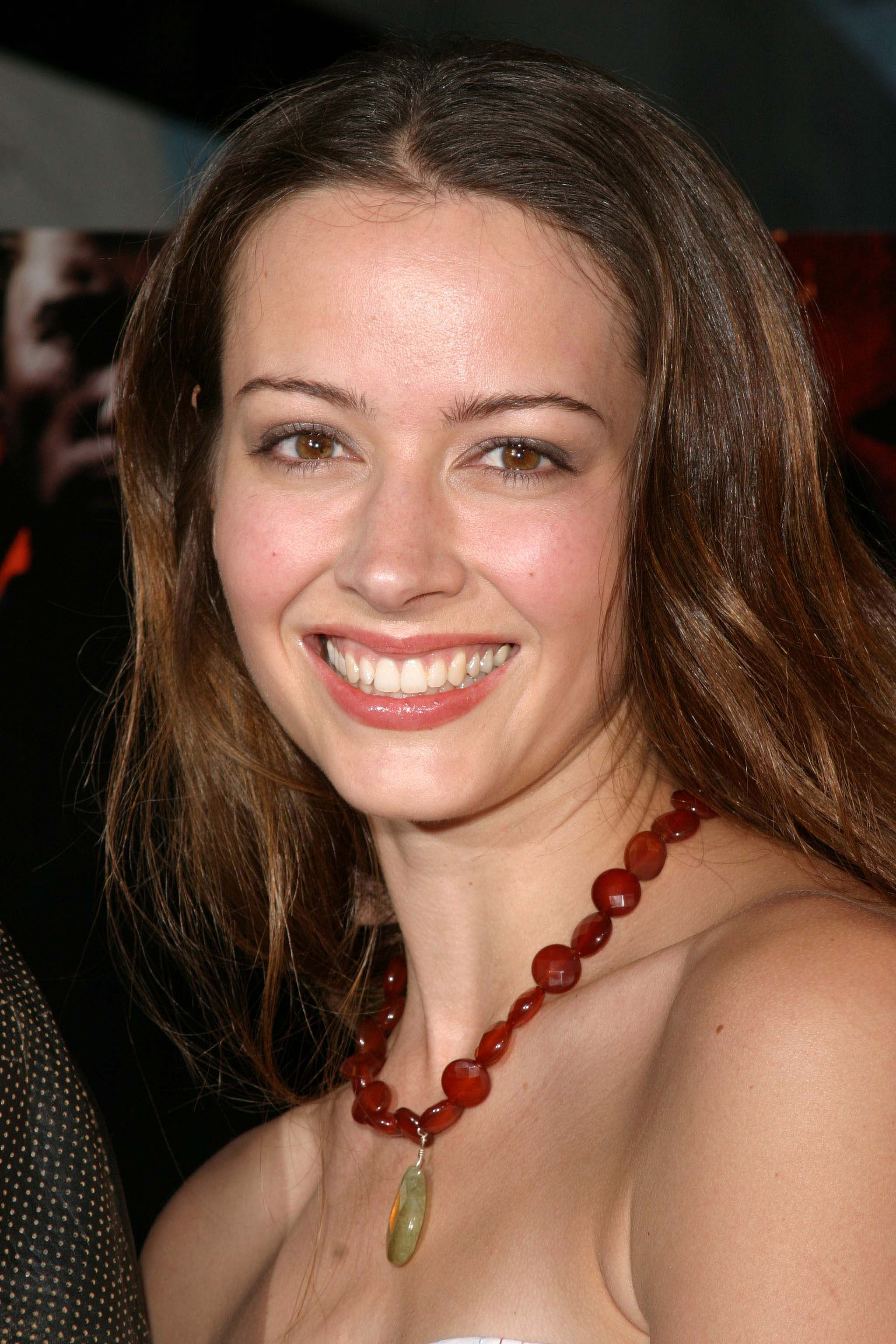 Sexy Amy Acker Hot Pictures Will Make You Go Crazy For 