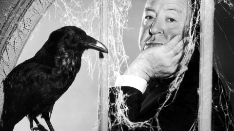 Alfred Hitchcock wallpapers high quality