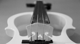 Violin Photos