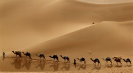 Desert Pictures