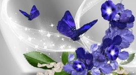 Blue Flowers Images