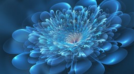 Blue Flowers Download for desktop