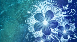 Blue Flowers Wallpapers HQ