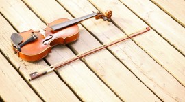Violin Wallpaper