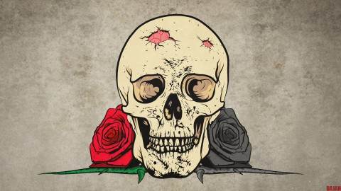 Skull wallpapers high quality