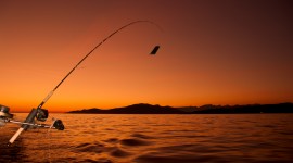 Fishing HD Wallpaper