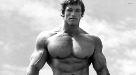 Arnold Schwarzenegger Pictures #704