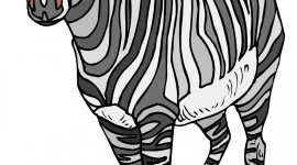 Zebra For mobile #259