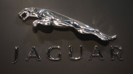 Jaguar Wallpapers Photos Logo