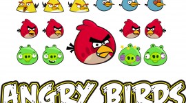 Angry Birds Photo