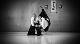 Aikido Photo