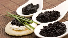 Black Caviar Desktop Wallpaper HD