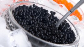 Black Caviar Photo