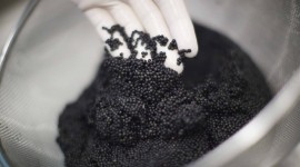 Black Caviar Wallpaper Background